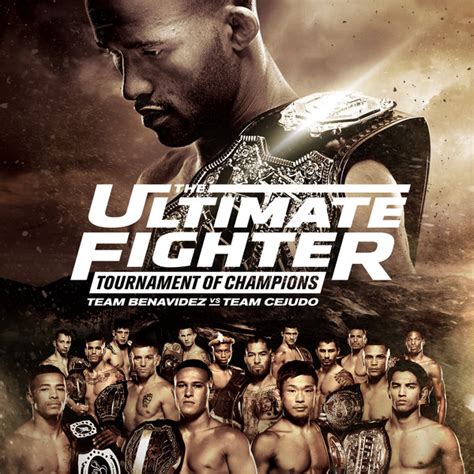 ultimate fighter finale